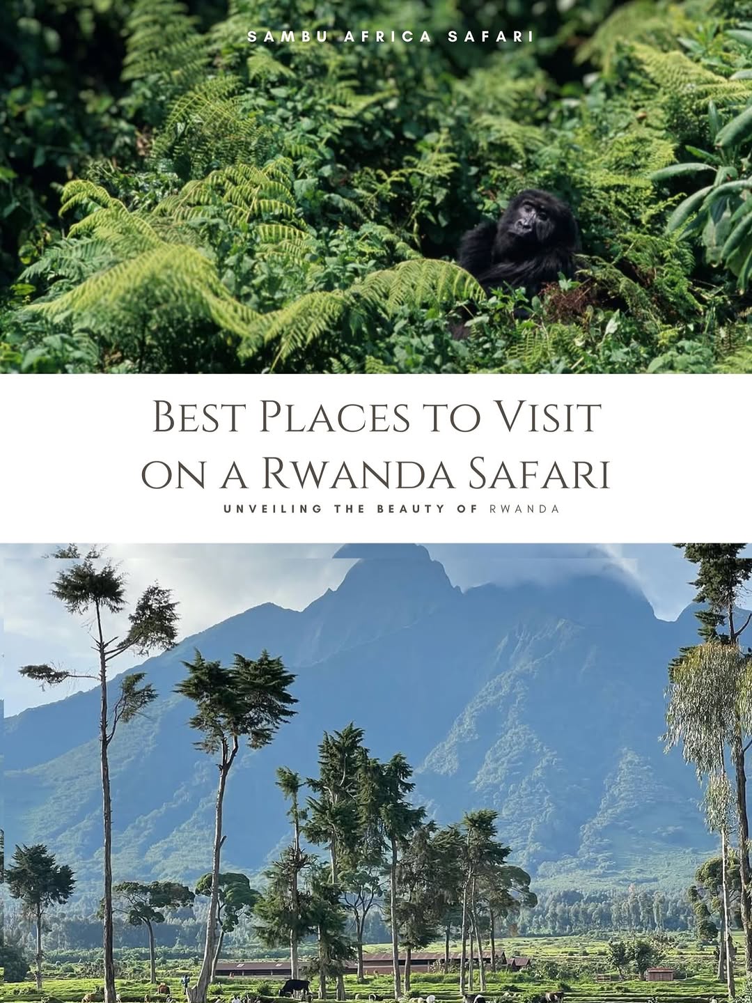 Gorilla Trekking in Rwanda, Kigali