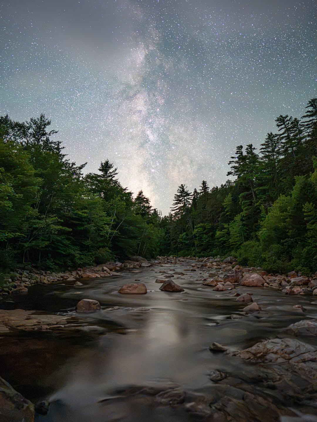 Kate, White Mountains