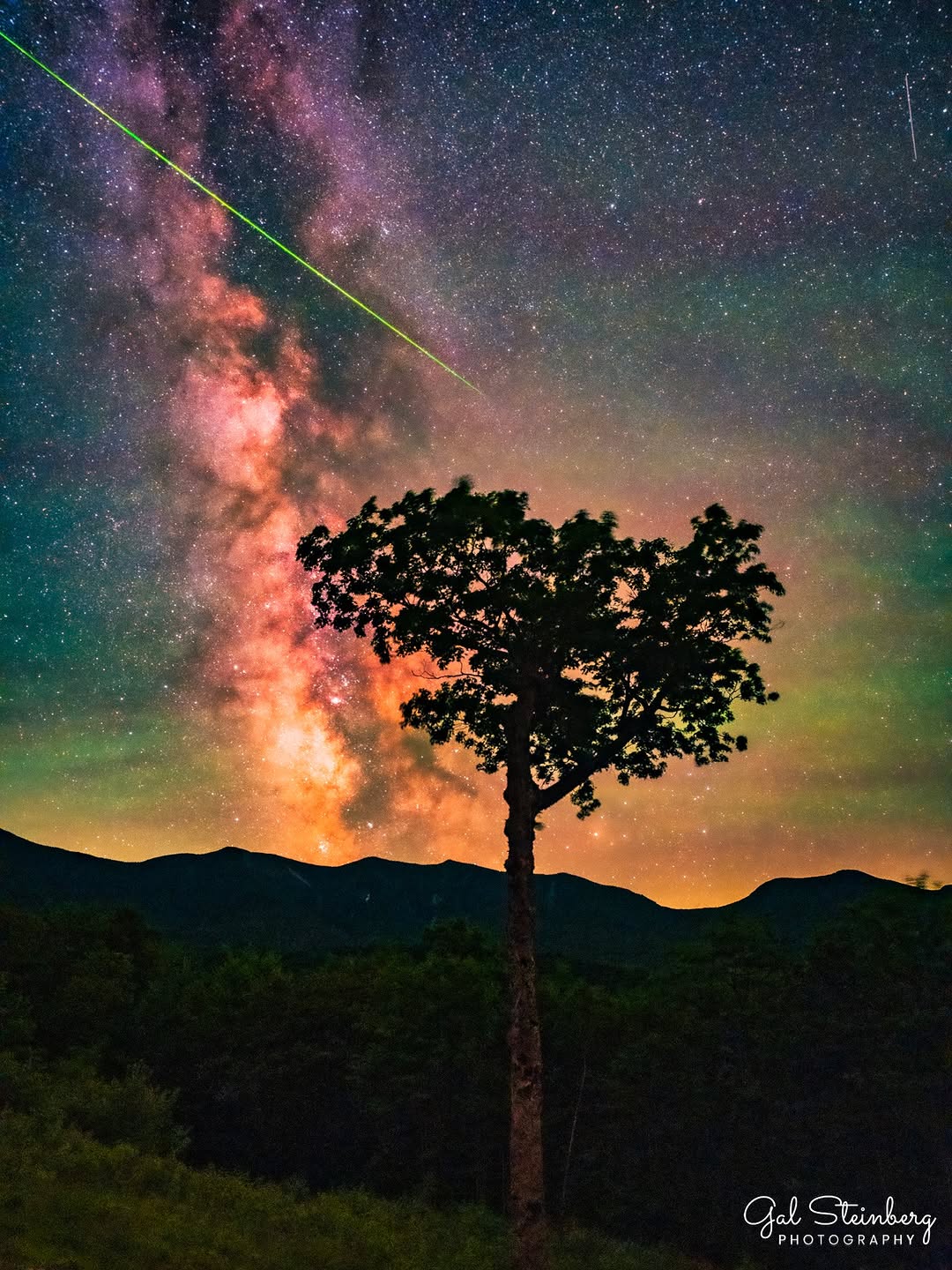 Gal Steinberg, White Mountains