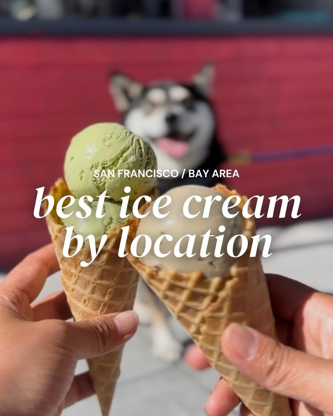 Dog Friendly Things & Travel 📍SF Bay Area, Garden Creamery