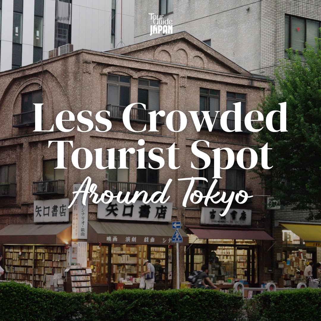 Private & Group tour guide, Naritasan Omotesando