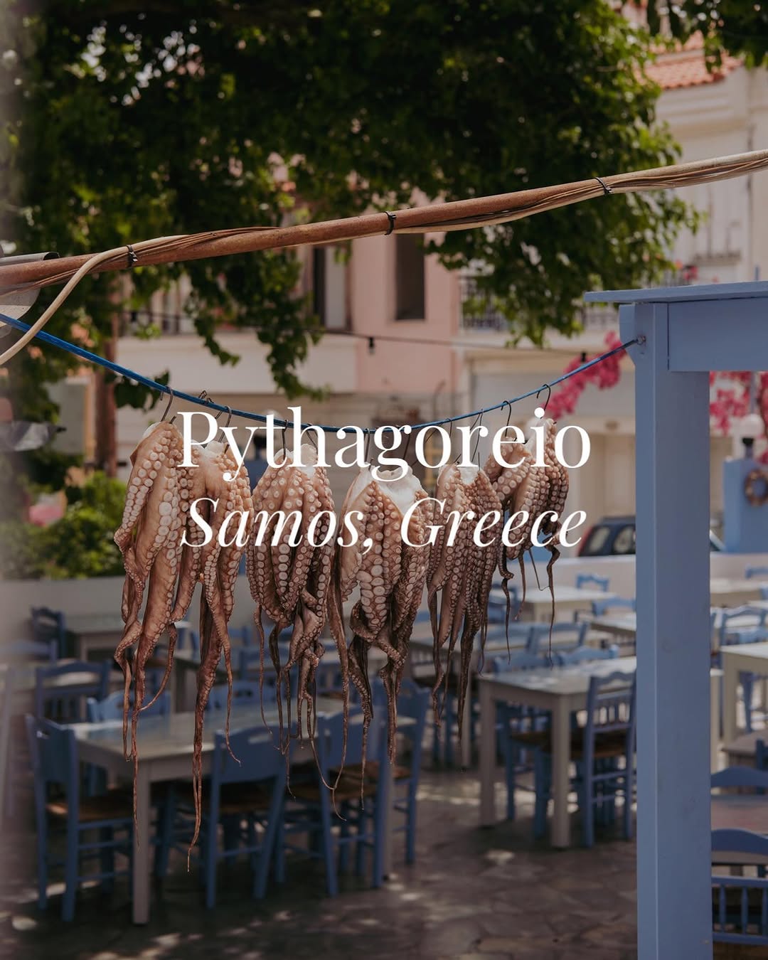Kişniş vesaire, Pythagoreio