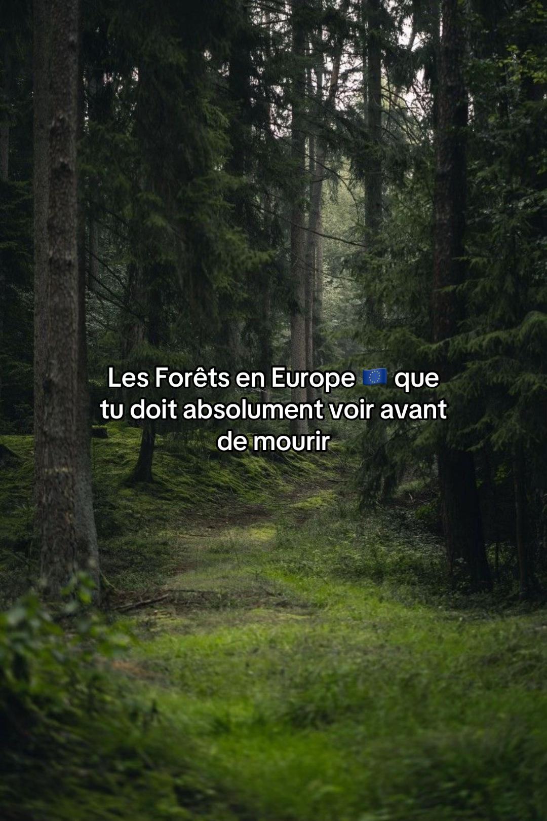 Evvseyy, Hoia Forest