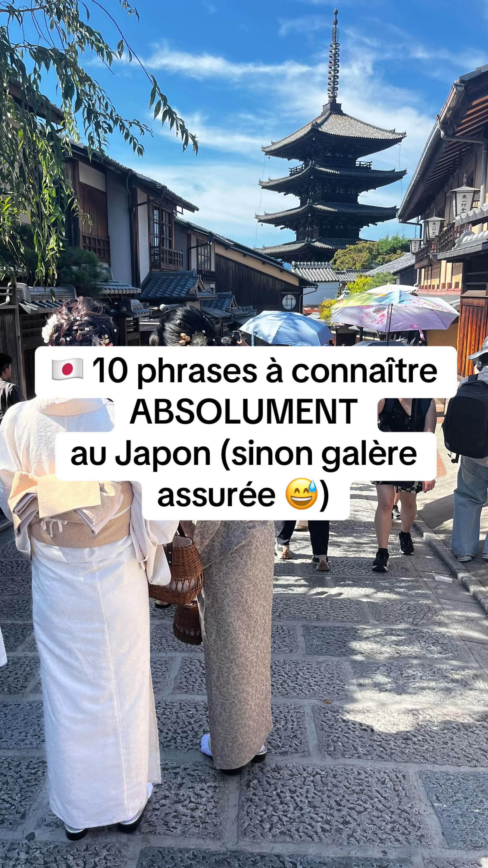 🇫🇷🇯🇵 Voyage Japon 🎥✈️, Hokan-ji