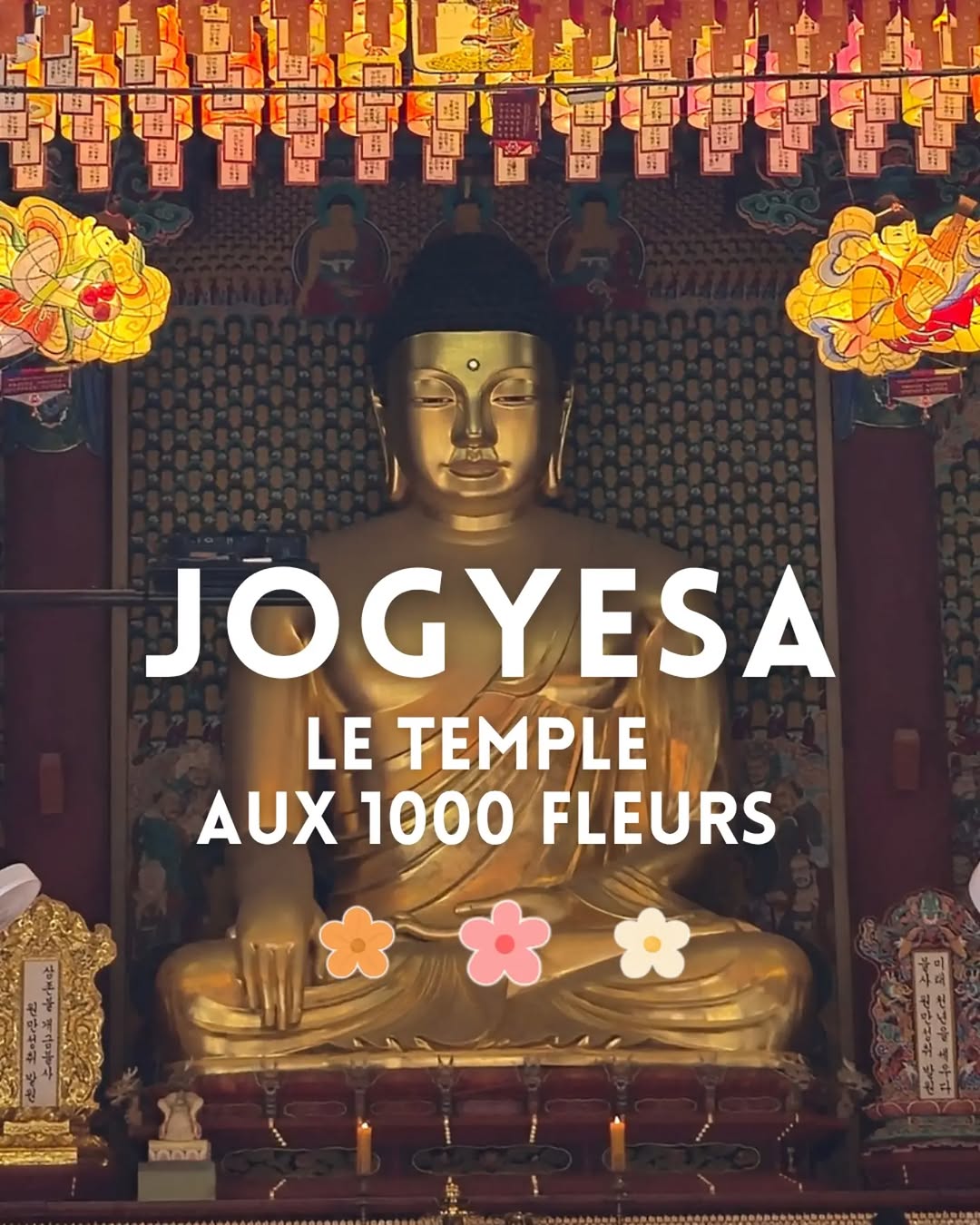 𝑴𝑶𝑪𝑯𝑰 | 𝑻𝒊𝒑𝒔 𝒇𝒐𝒓 𝑲-𝑻𝒓𝒊𝒑𝒑𝒆𝒓𝒔 🇰🇷, Jogyesa Temple