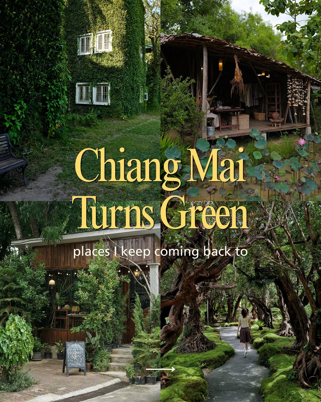 Nalin Cherdjareewatananun, Four Seasons Resort Chiang Mai
