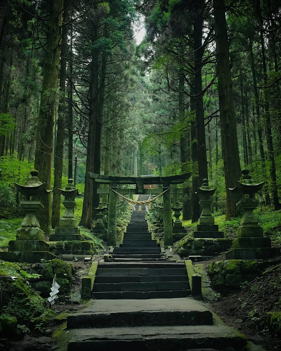 YUTO / Berlin 🎭 Tokyo, Japan, Kamishikimi Kumanoimasu Shrine