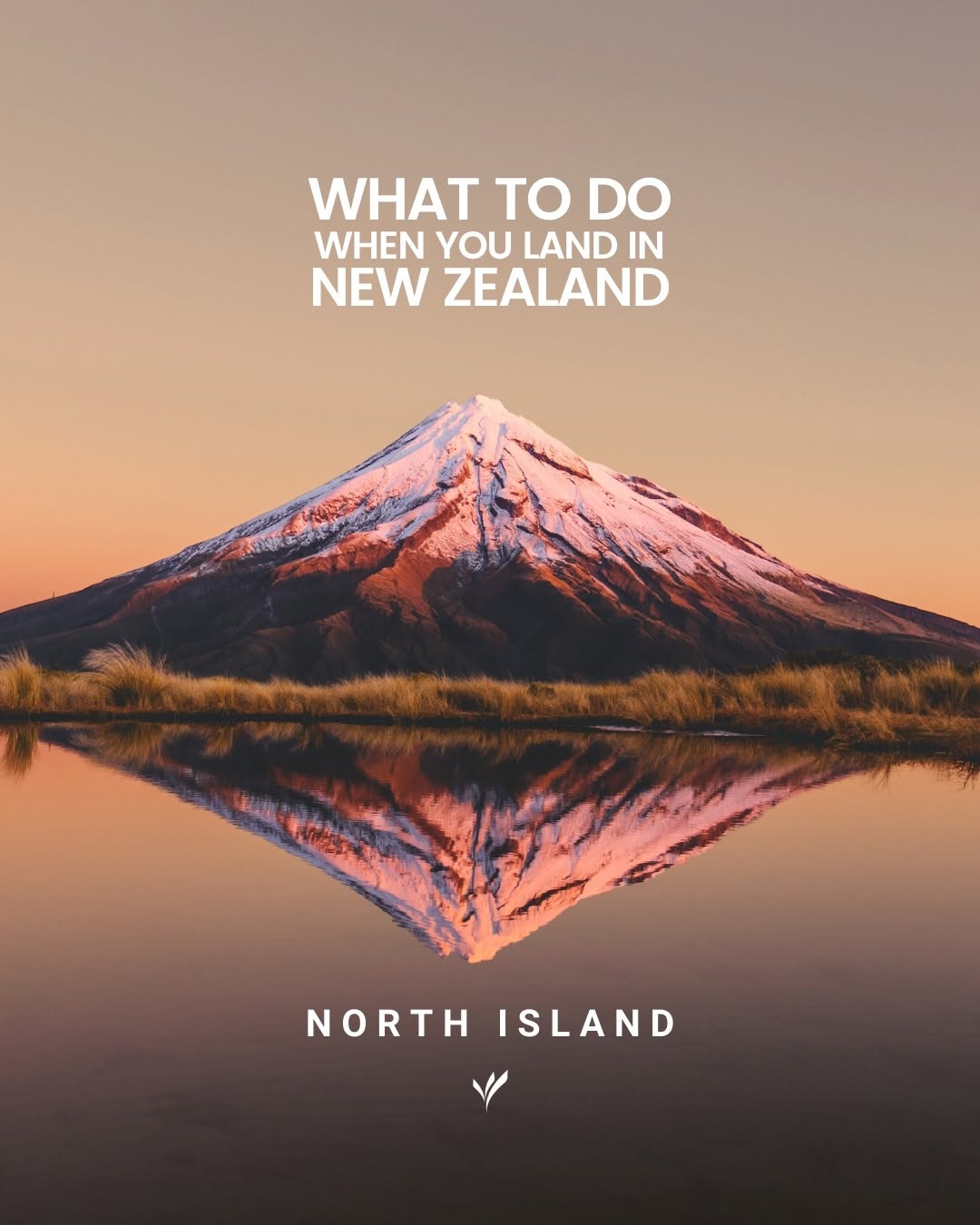 Freedom Destinations | Travel Agent, Sky Tower