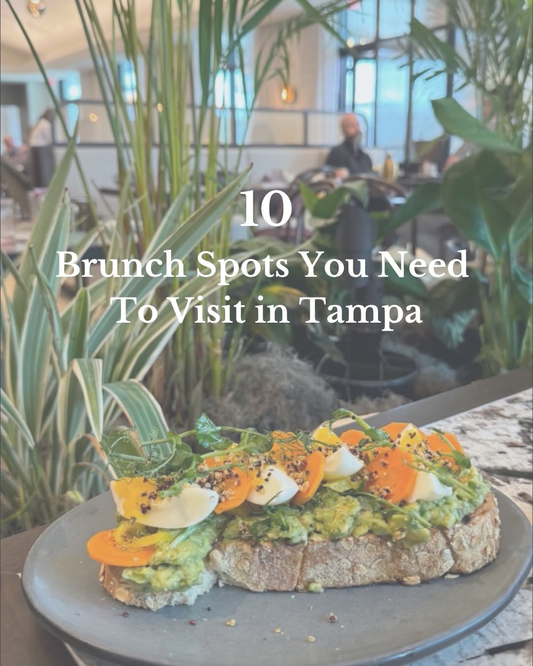 Kseniya Korneva | Tampa Realtor, Oxford Exchange