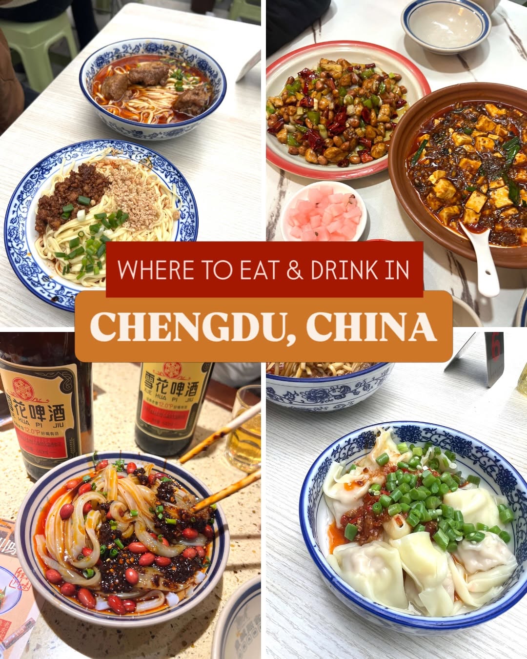 Taylor Taverna - travel and outdoors, Chengdu Research Base of Giant Panda Breeding