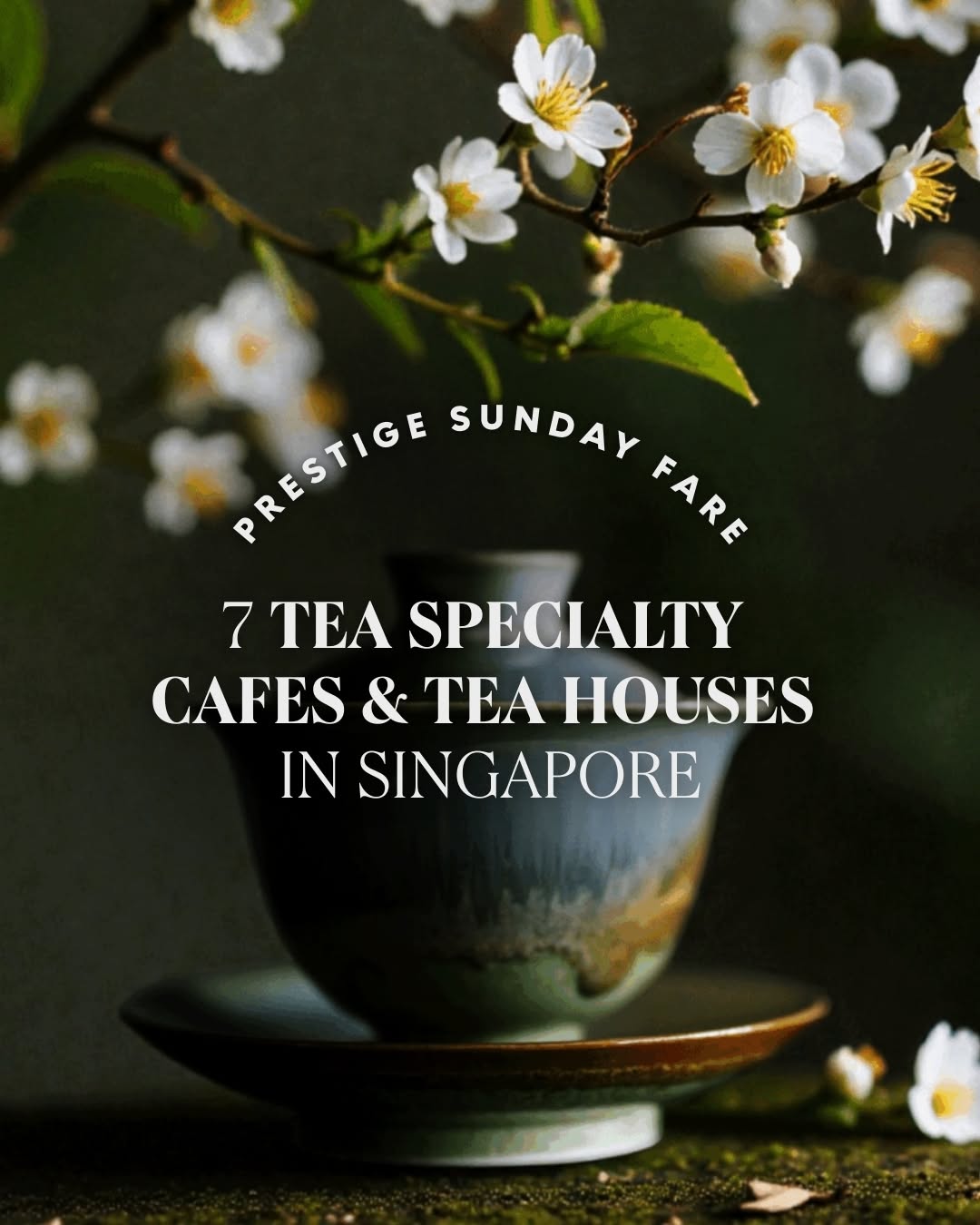 Prestige Singapore, Tea Chapter Trading Pte Ltd