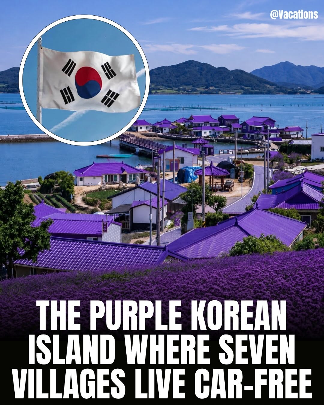 Vacations, Purple Bridge
