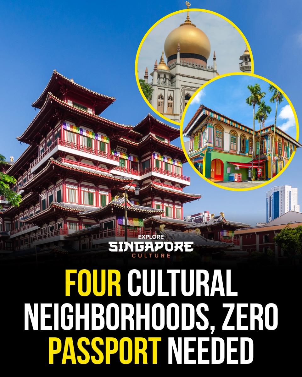 Singapore 🇸🇬 Travel | Hotels | Food | Tips, Chinatown