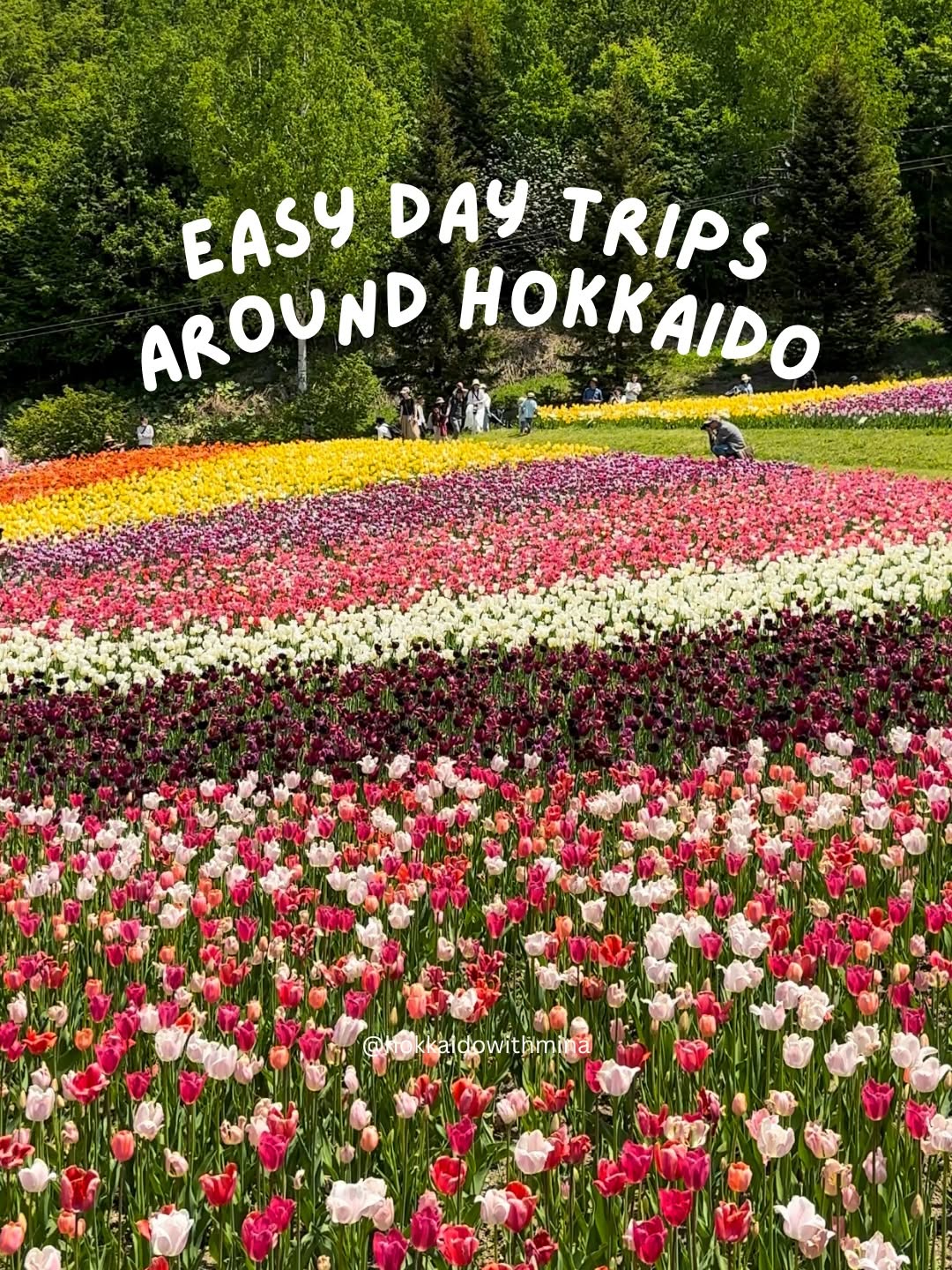MINA from Hokkaido • Travel Planner, Nikka Whisky Yoichi Distillery