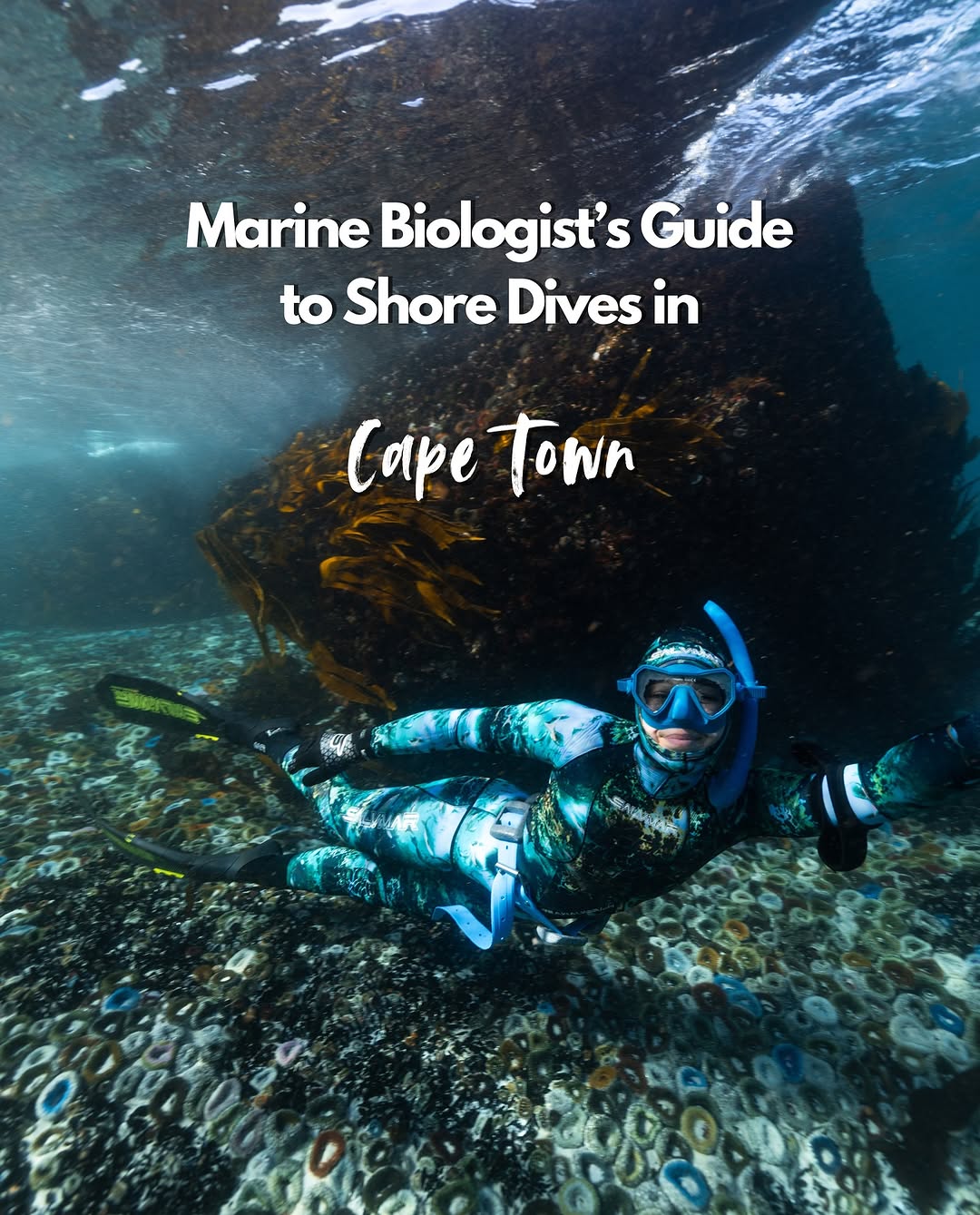 Dani | Marine Biologist • Underwater Filmmaker, Two Oceans Aquarium
