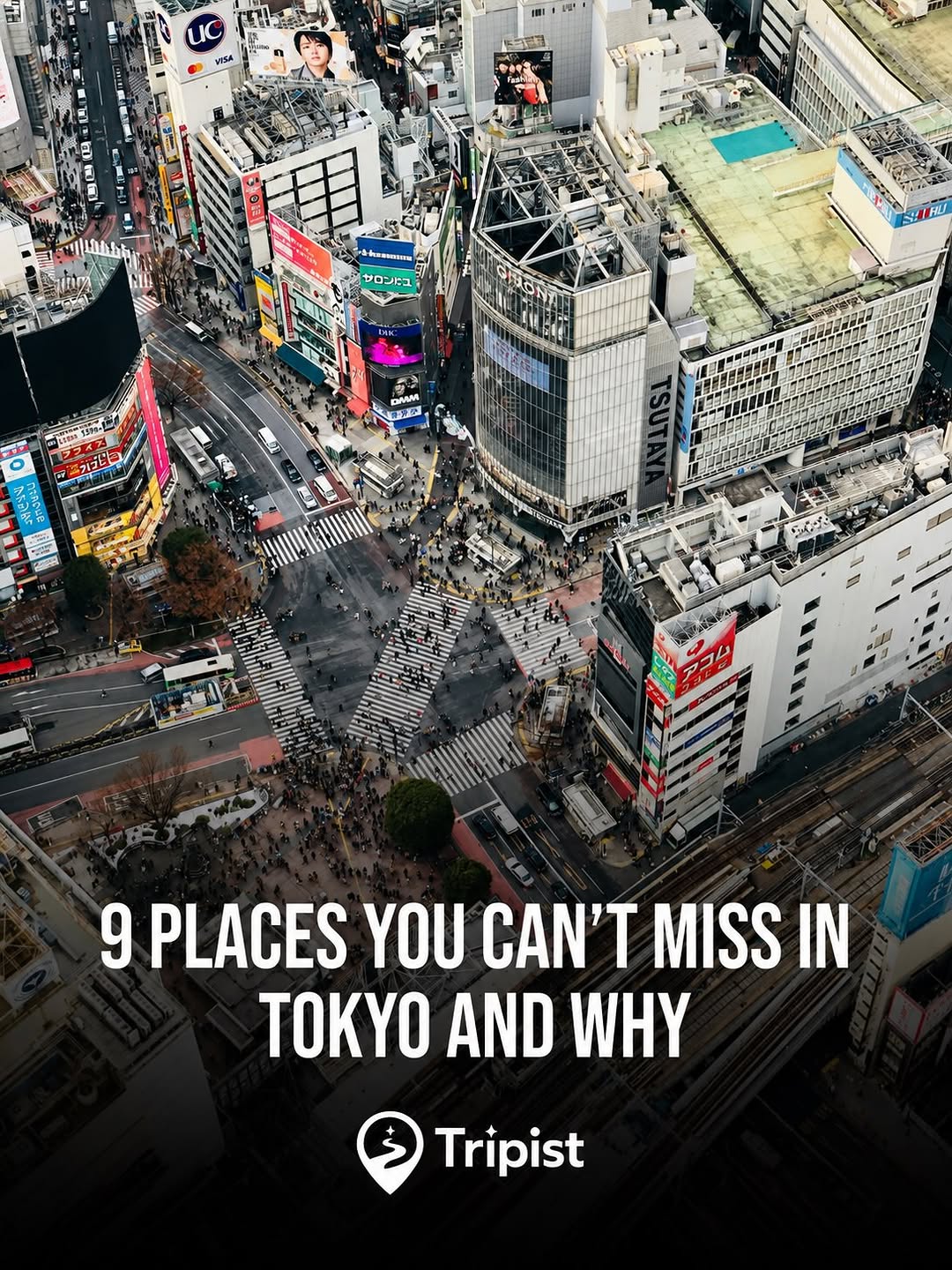 Japan Travel 🇯🇵| Tips | Food | Experiences, Hachikō Memorial Statue