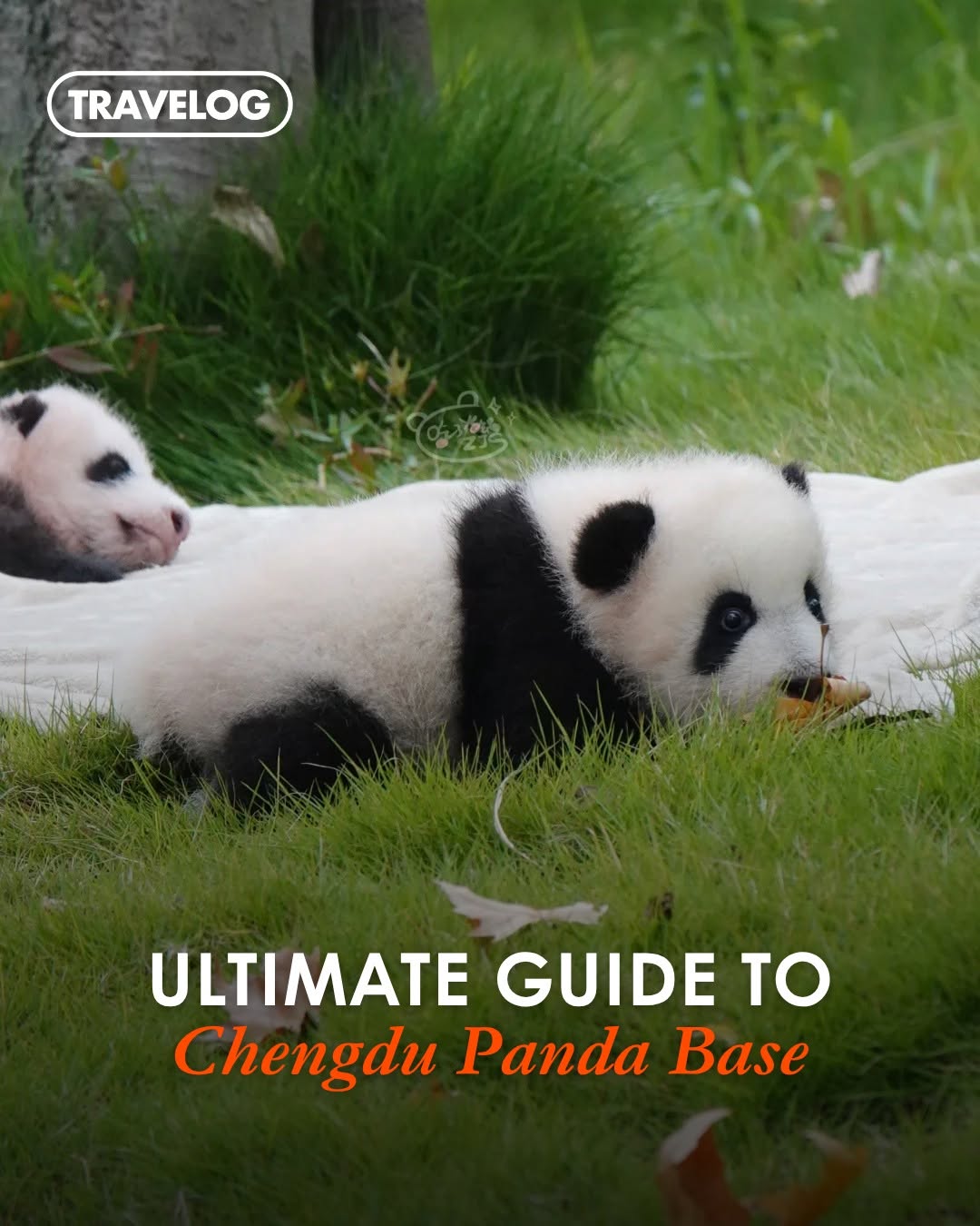 TRAVELOG, Chengdu Research Base of Giant Panda Breeding