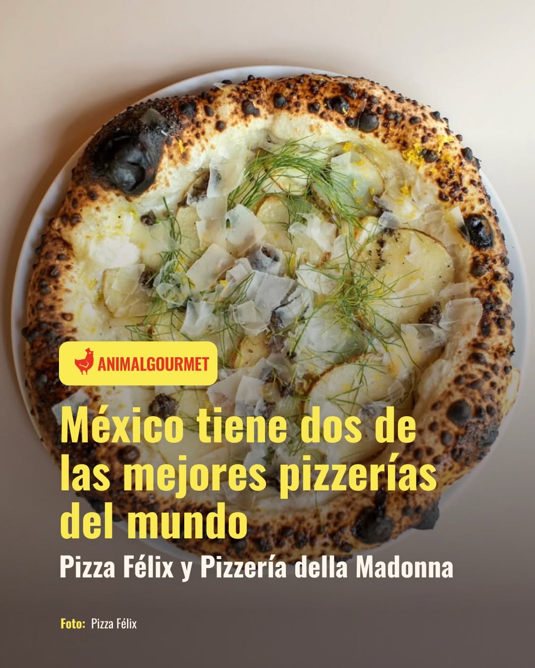 Animal Gourmet, Pizza Félix