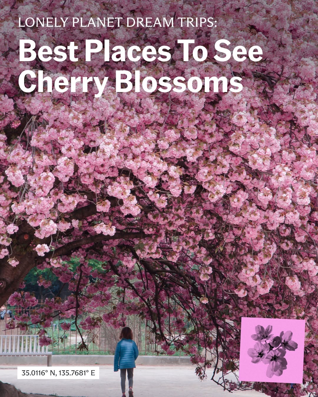Lonely Planet, Maruyama Park