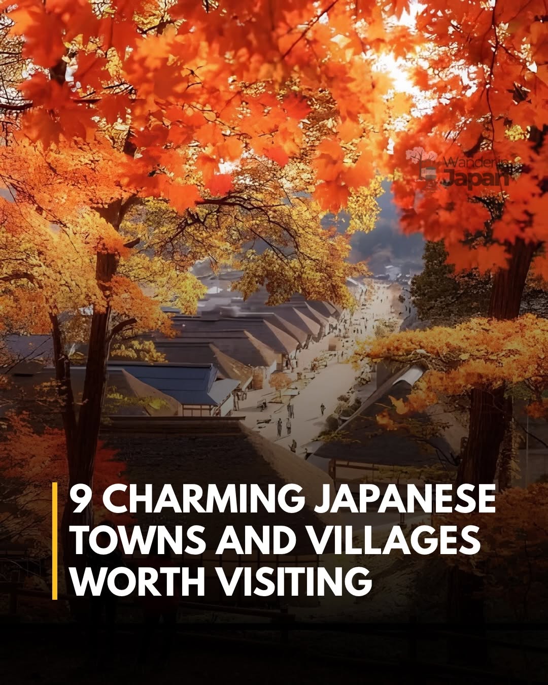 Wander in Japan 🇯🇵⛩️, Biei