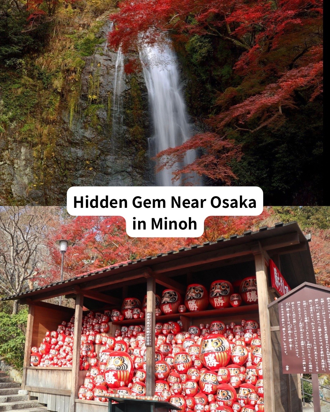JAPAN_TRAVEL_GUIDE_ctj, Minoh National Park