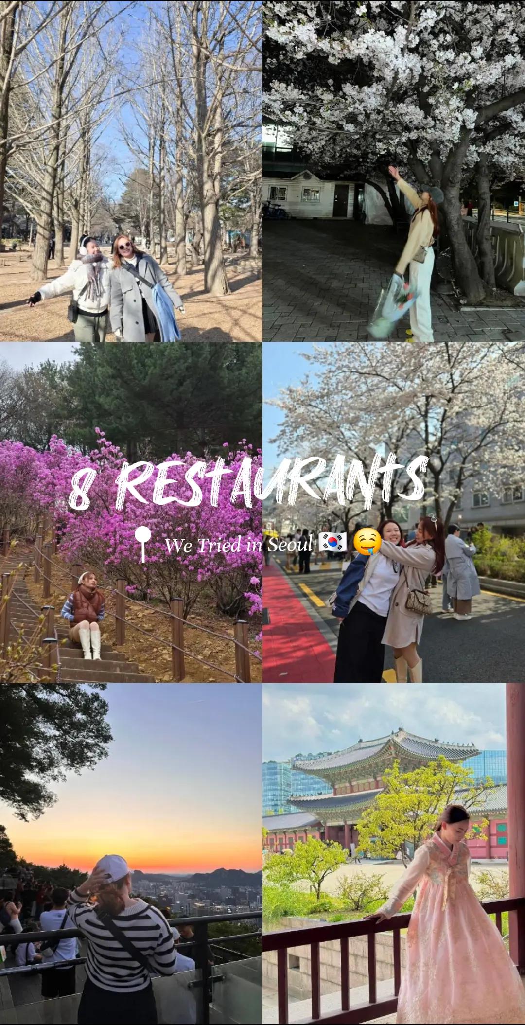 The Seerenio Travels, Myeongdong Kyoja Main Restaurant