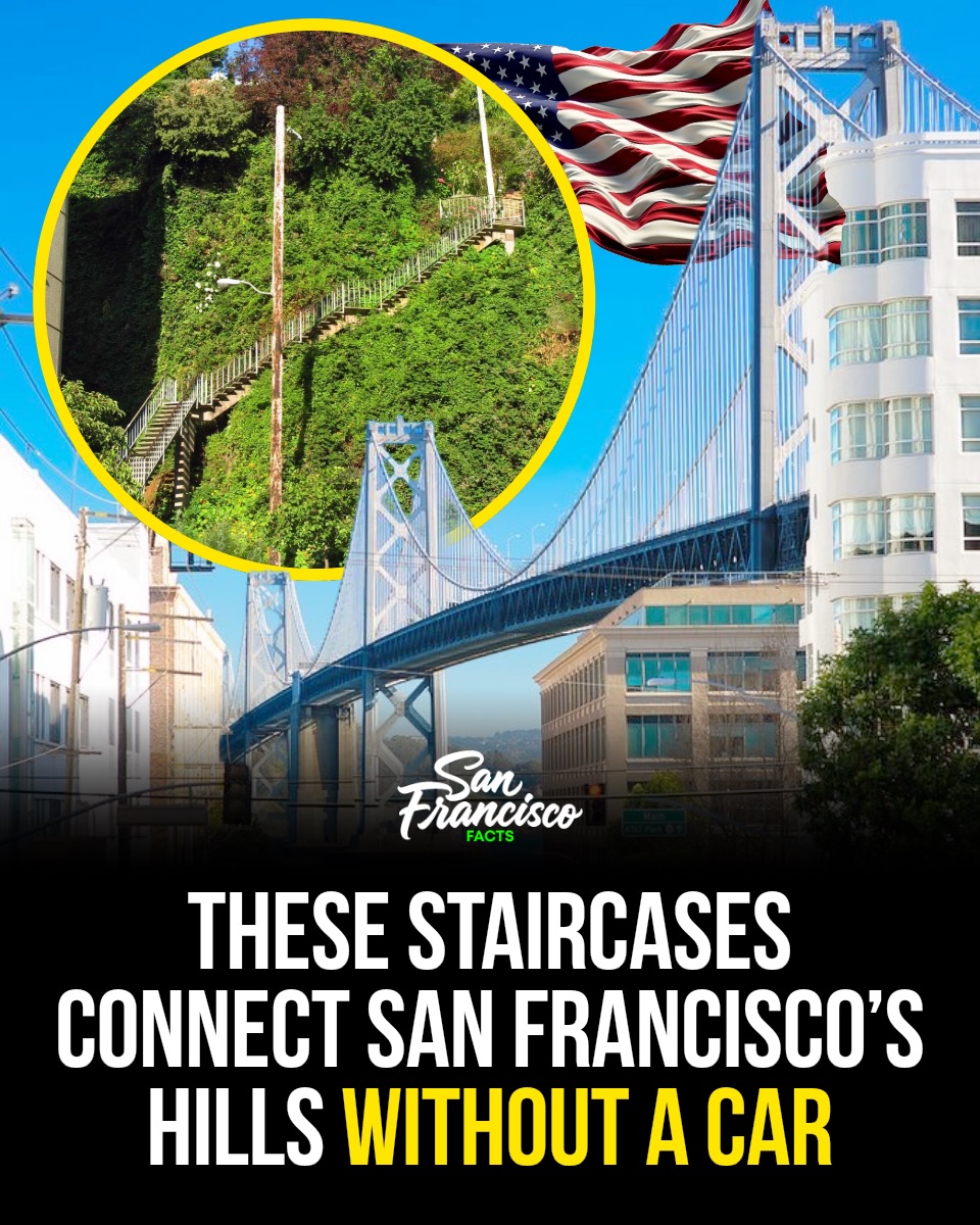 San Francisco 🌉 | Hotels | Food | Tips, Golden Gate Bridge
