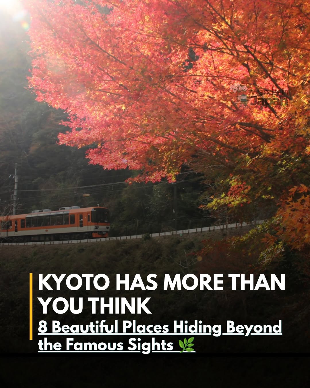 Wander in Japan 🇯🇵⛩️, Kifune Shrine