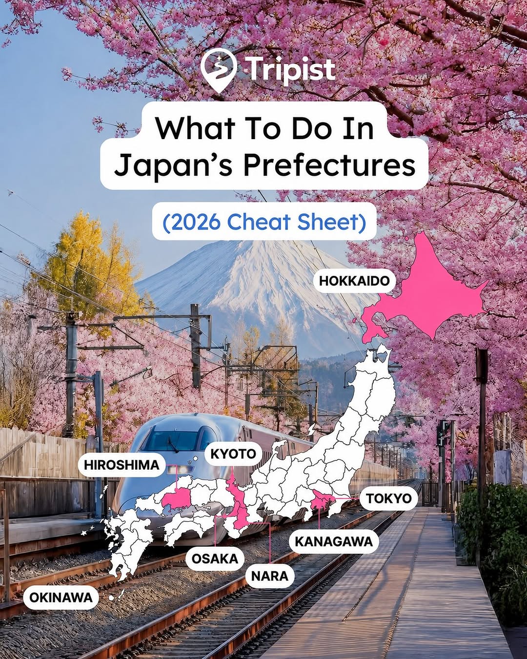 Japan Travel 🇯🇵| Tips | Food | Experiences, Shibuya Scramble Crossing