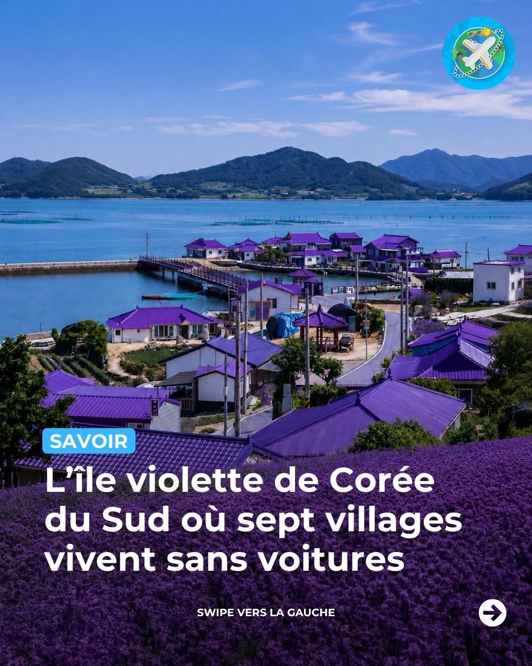 Viens on part loin πβοΈ, Purple Island λ°μμΉ΄ν