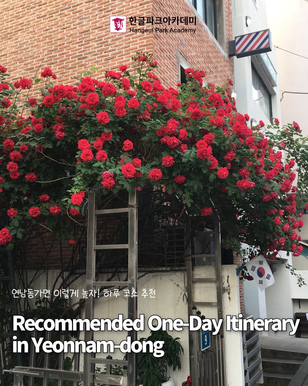 Hangeul Park Academy｜Korean school｜@seoul, Koriko Cafe
