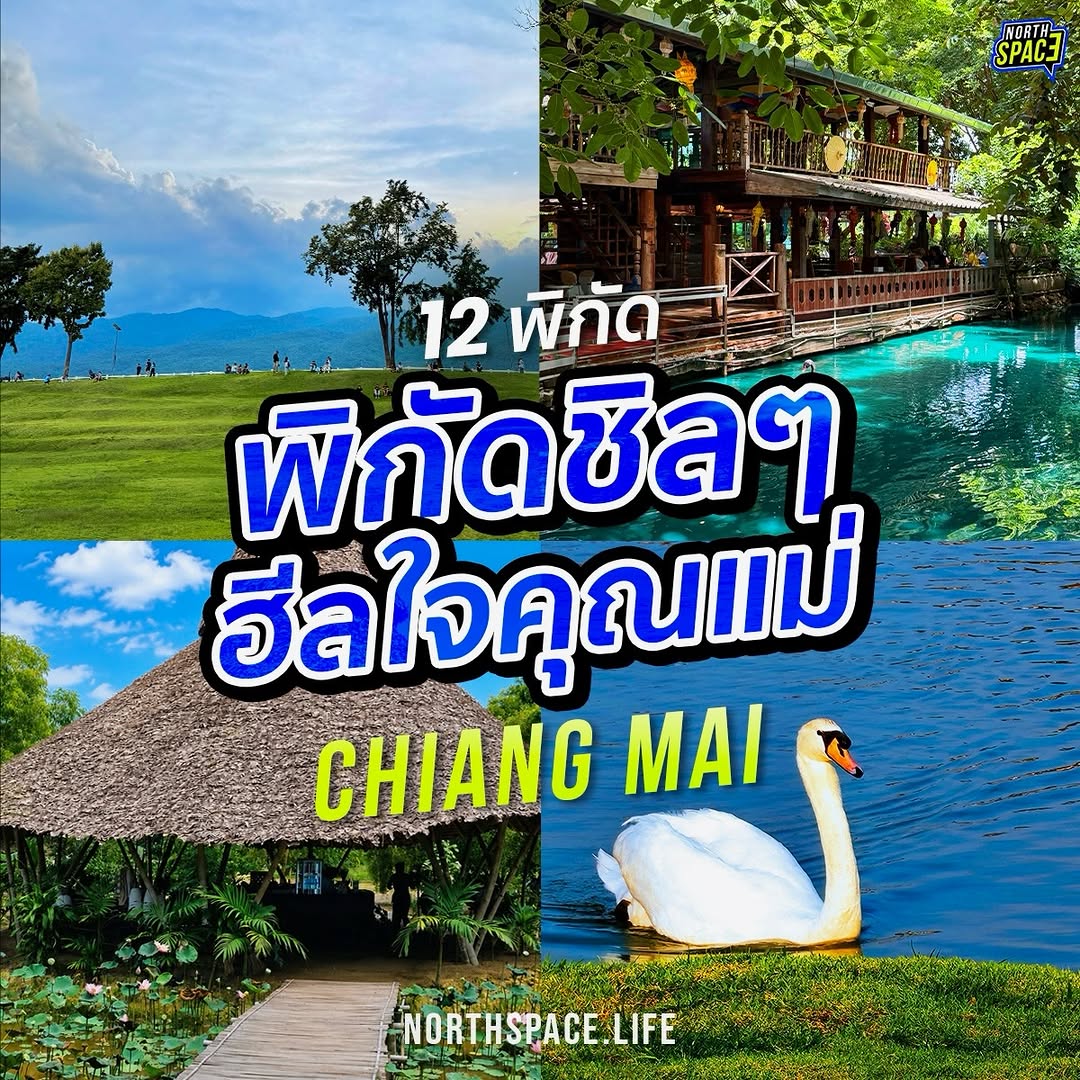 NorthSpace, Chiang Mai Zoo