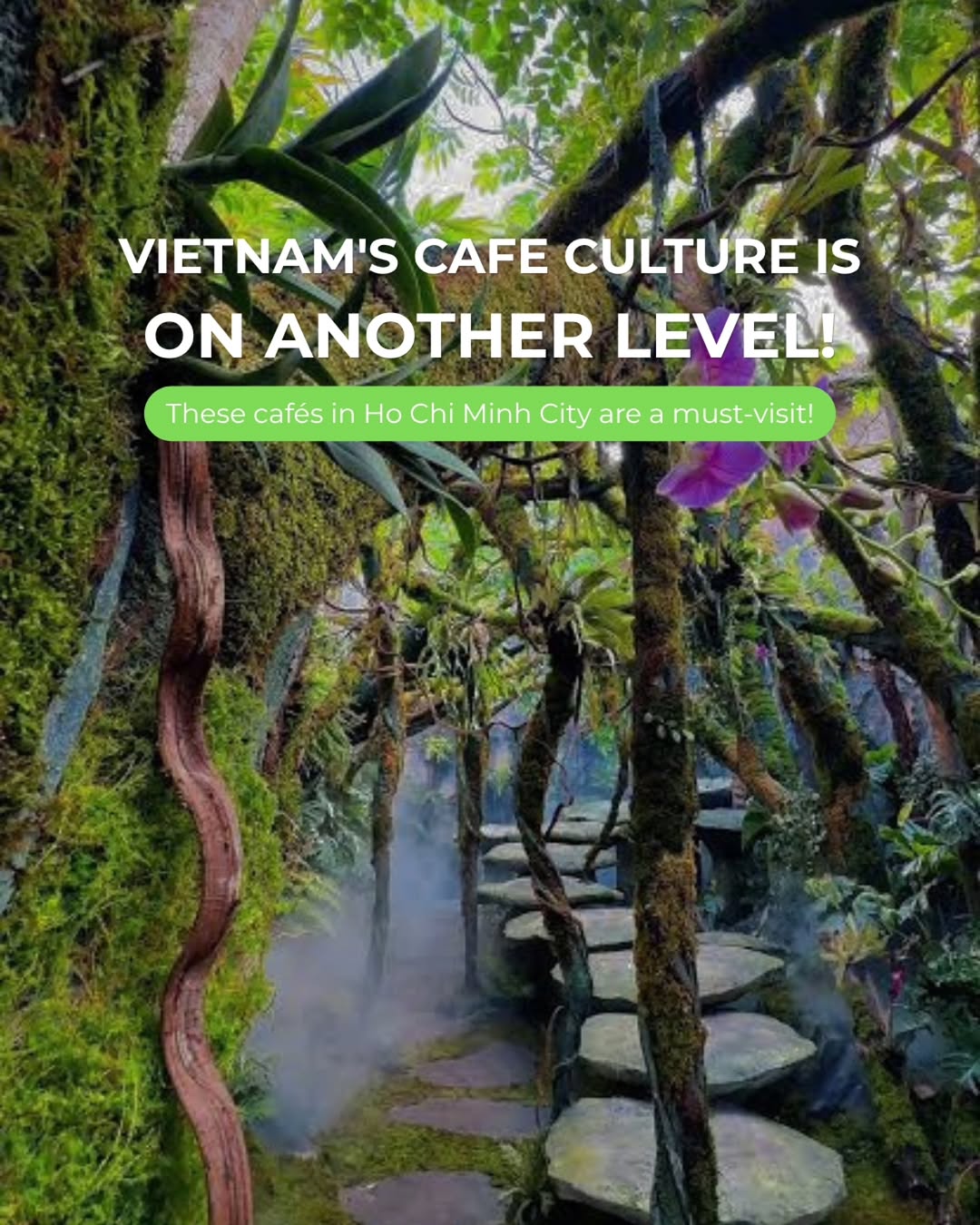 Vietnam Express Diary, Cafe Sân Vườn Miền Thảo Mộc