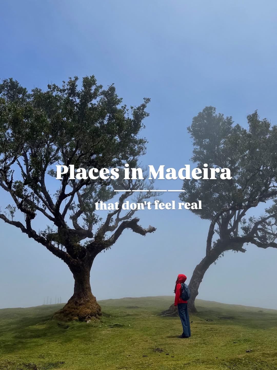 Katerina Giufrè | Travel Creator, PR8 Vereda da Ponta de São Lourenço