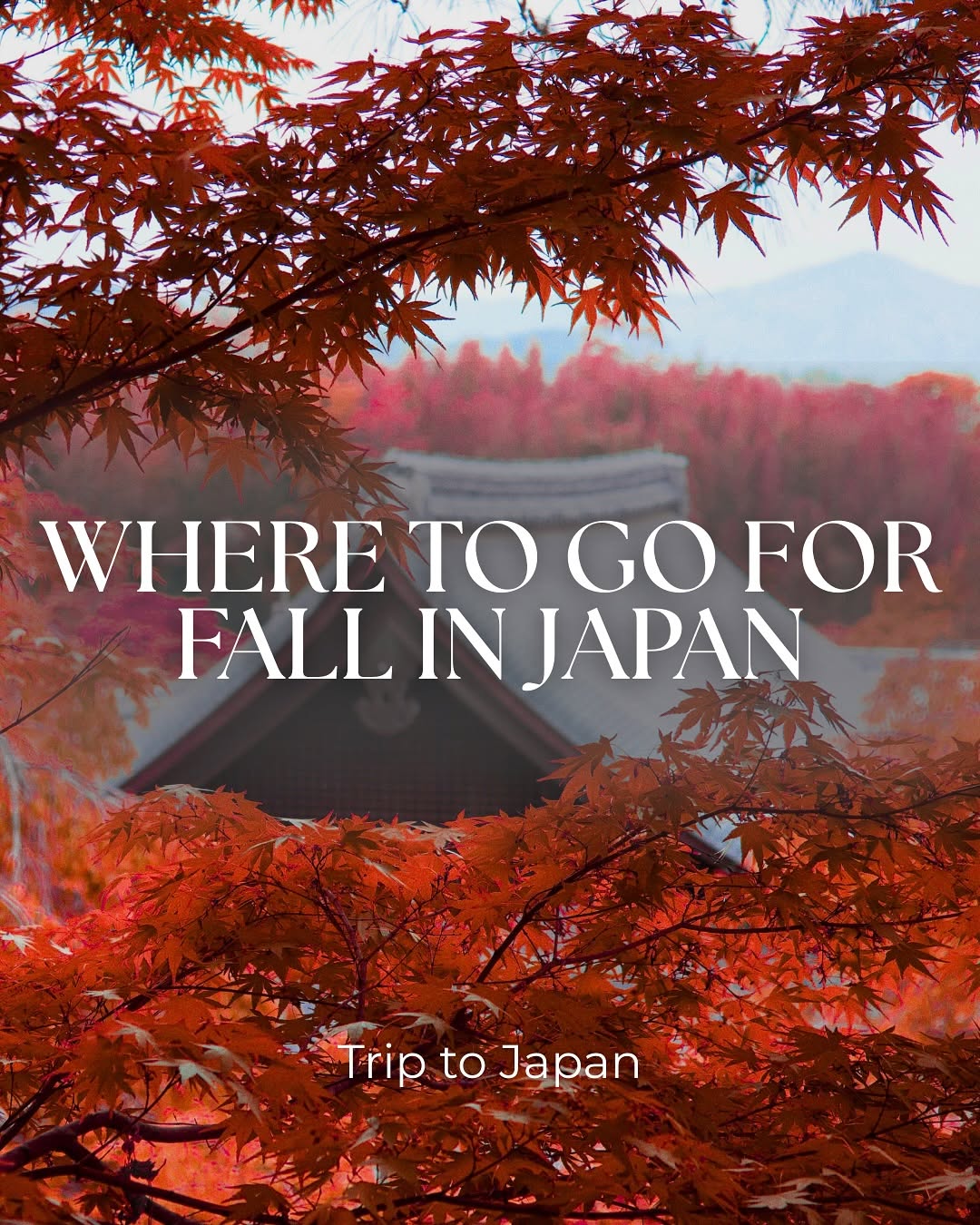 Trip To Japan, Kiyomizu-dera