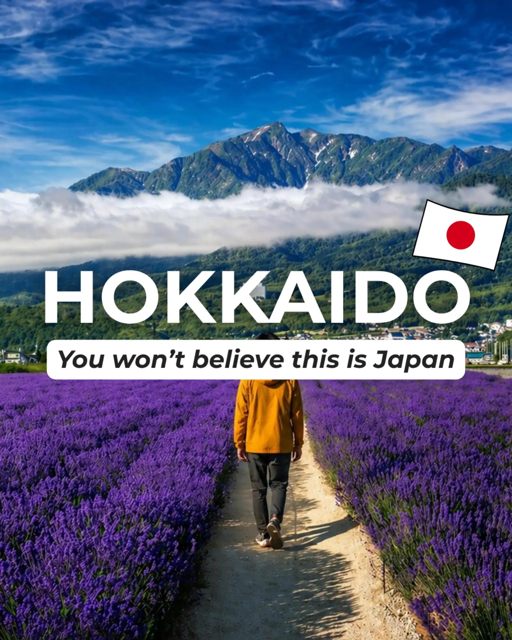 My Japan Station, Hakodate