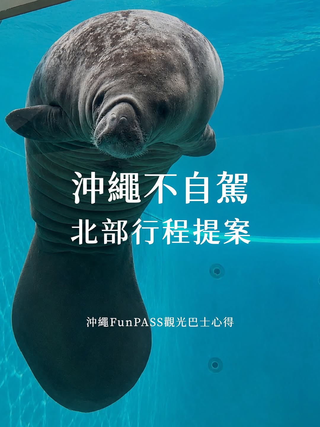 𝐏𝐮𝐦 🍽️ 日本旅遊美食分享, Okinawa Churaumi Aquarium
