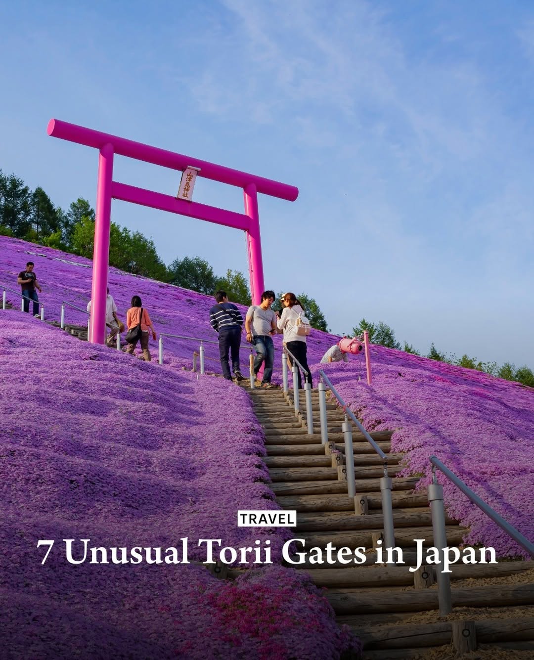 Tokyo Weekender, Higashimokoto Shibazakura Park