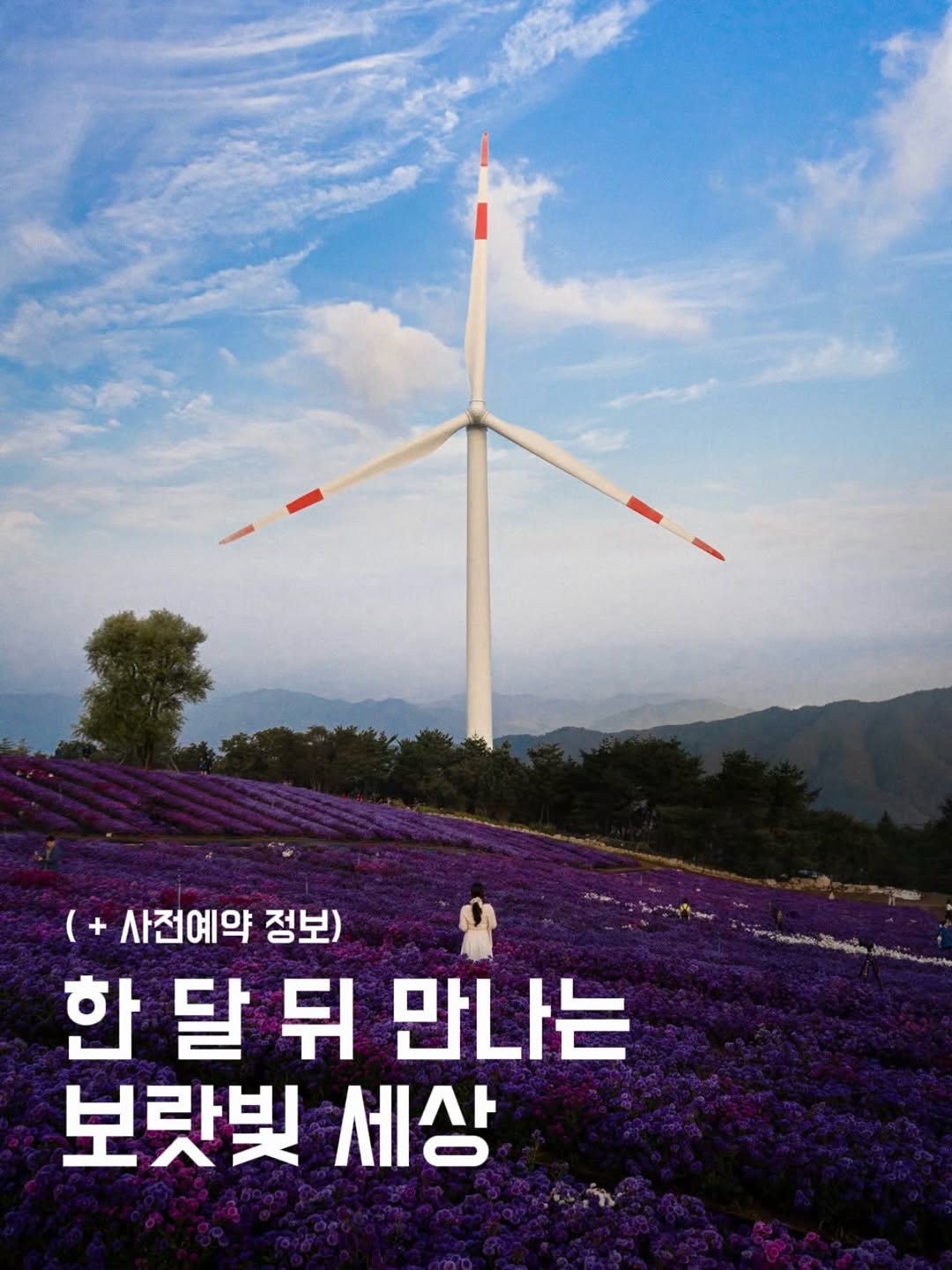 식스팟ㅣ여행 사진가, 거창 별바람언덕