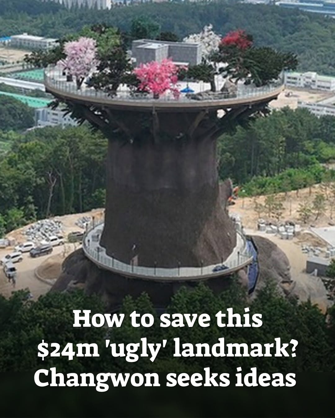 The Korea Herald 코리아헤럴드, Daesang Park Big Tree