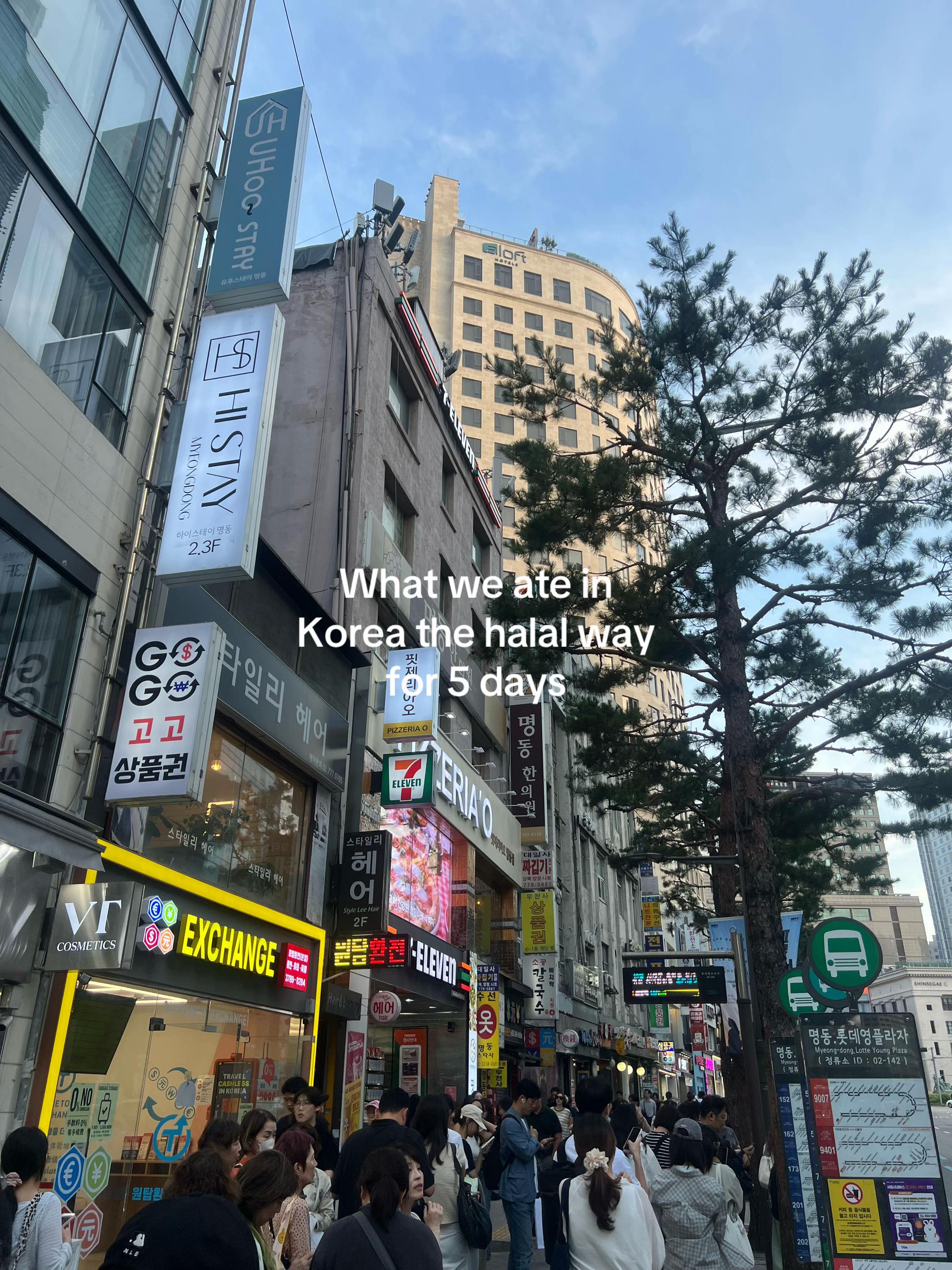 zzzz, Busanjip
