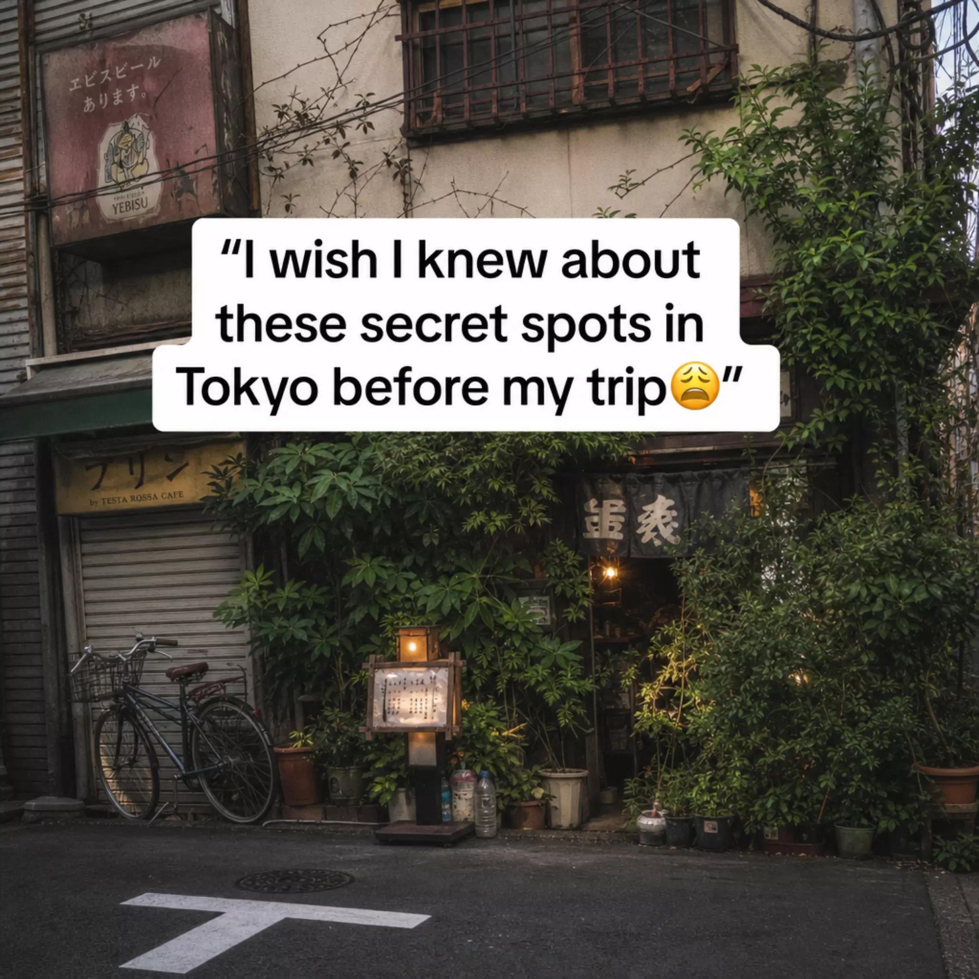BucketListTrips, Showa Kinen Park