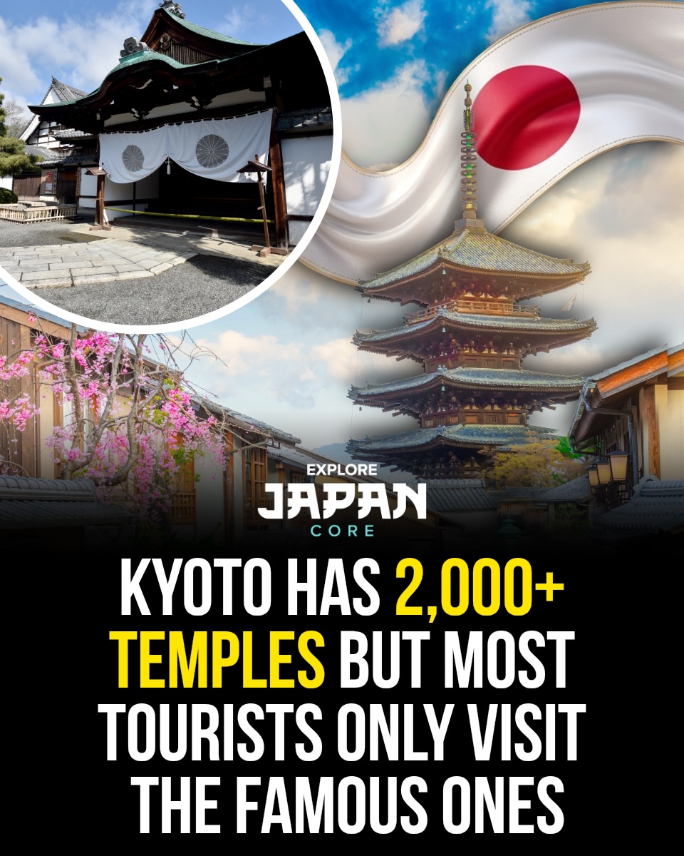 Japan 日本 🇯🇵 Asia Travel | Hotels | Food | Tips, Kiyomizu-dera