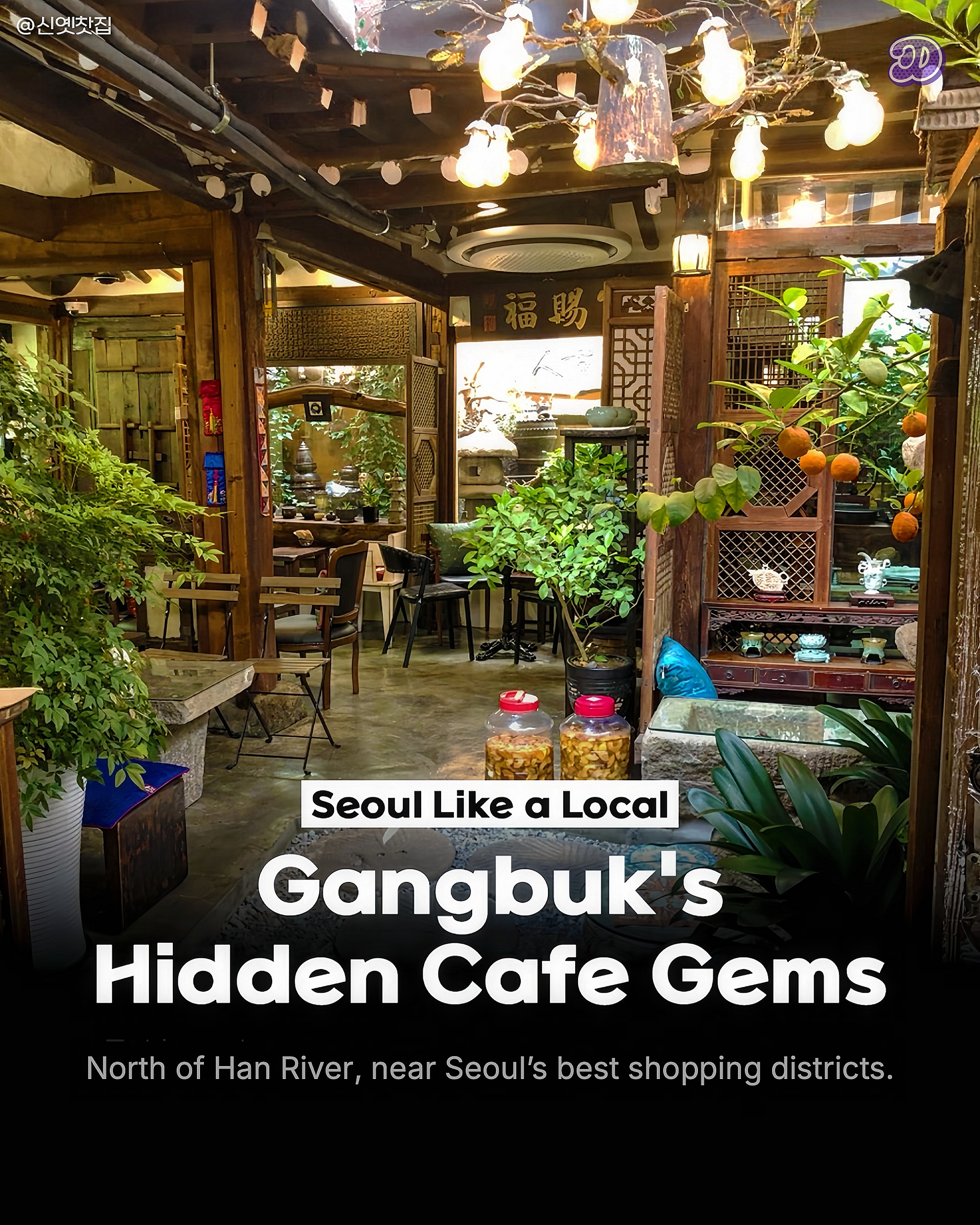 Deal Seoul | 딜서울, 콘하스커피 디디피점