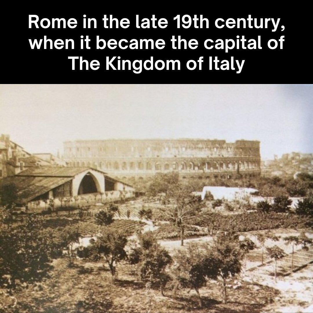 Crucible History, Colosseum