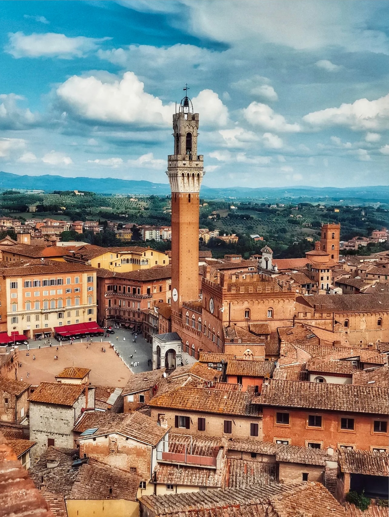 🏙Hello_rooftops, Il Campo