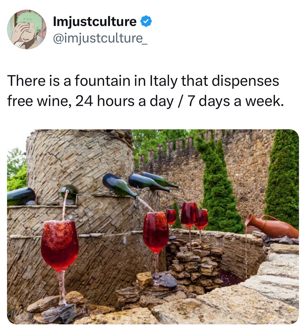 im just culture, Dora Sarchese Srl