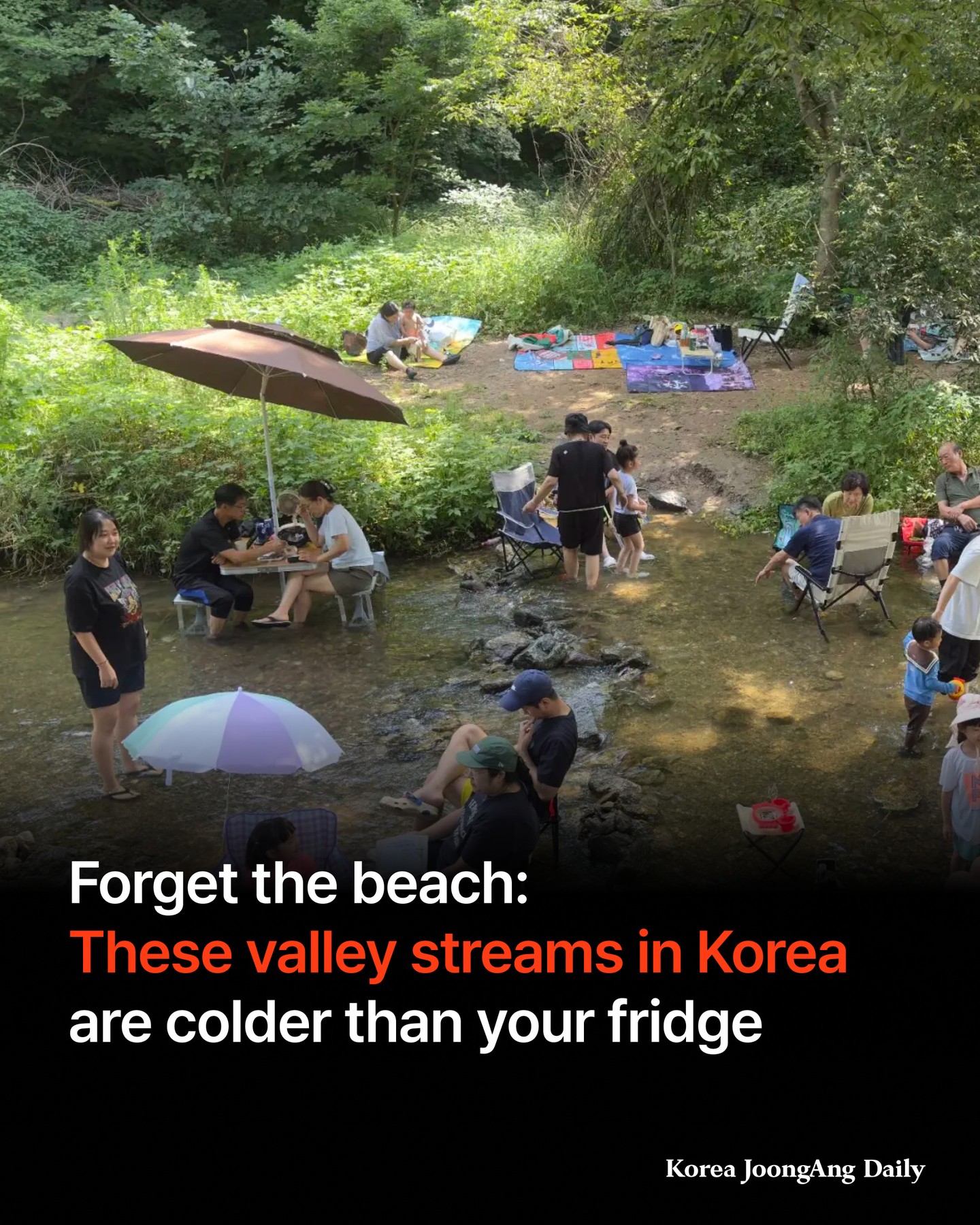 The Korea JoongAng Daily, Dobongsan