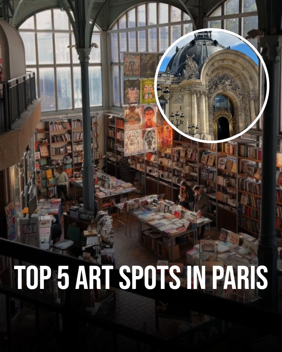 Paris France 🇫🇷 Travel | Hotels | Food | Tips, Musée d'Art Moderne de Paris