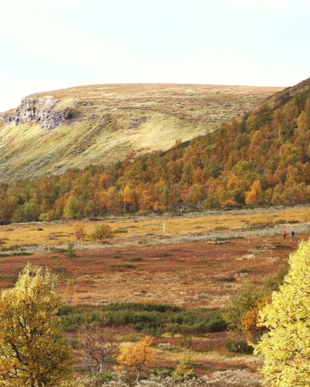 Destination Funäsfjällen, Hamrafjället